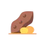 Nut icon 64x64