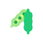 Soy icon 64x64
