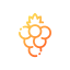 Berries icon 64x64