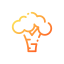 Broccoli icon 64x64