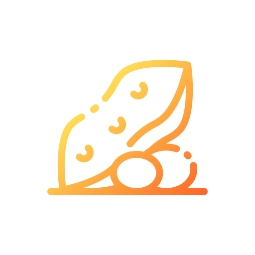 Nut icon