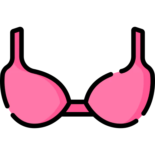 Bra icon