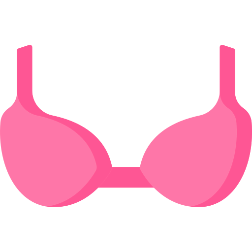 Bra icon