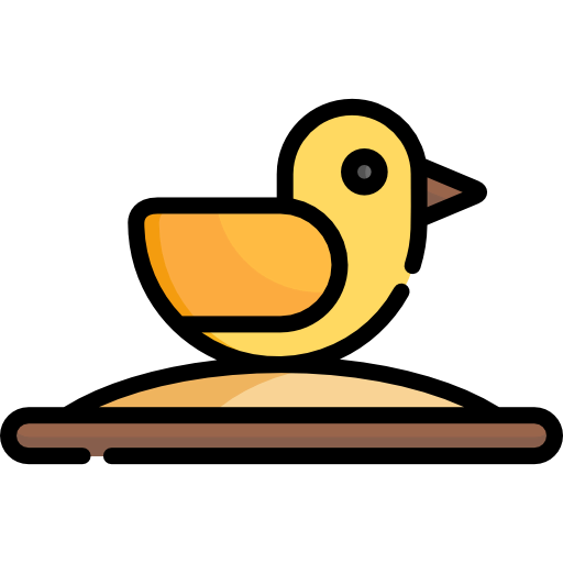 Duck icon