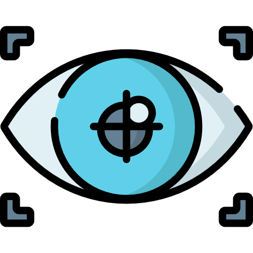 Vision icon