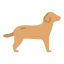 Canine biểu tượng 64x64