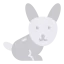 Rabbit icon 64x64