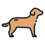 Canine icon 64x64