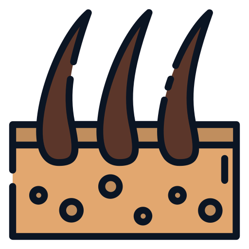 Dermathology icon