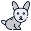 Rabbit icon 64x64