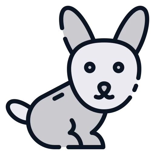 Rabbit icon