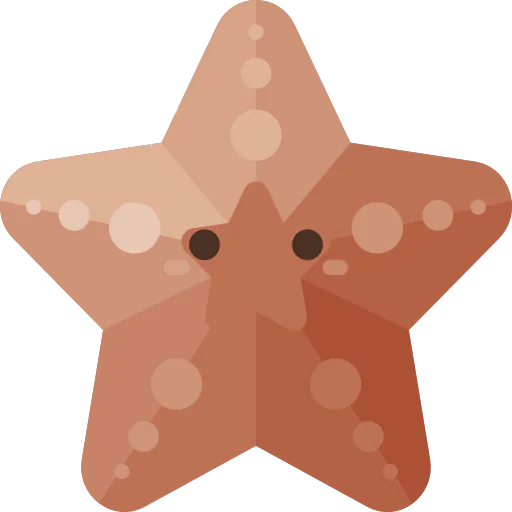 Starfish icon
