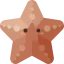 Starfish Ikona 64x64