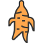 Sashimi icon 64x64