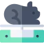 Scale icon 64x64