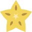 Star fruit icon 64x64