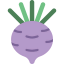 Turnip Ikona 64x64