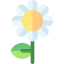 Flower icon 64x64