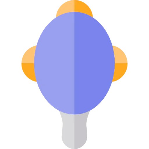 Mirror icon
