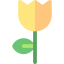 Flower icon 64x64