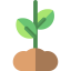 Growth icon 64x64