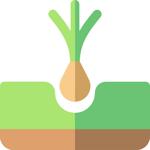 Tuber icon