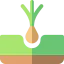 Tuber icon 64x64
