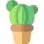 Cactus icon 64x64