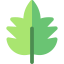 Leaf icon 64x64