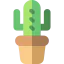 Cactus icon 64x64