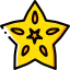 Star fruit icon 64x64