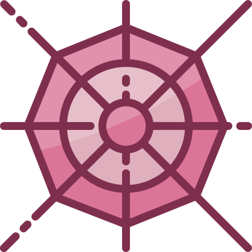 Cobweb icon