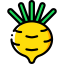 Turnip Ikona 64x64