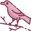 Crow Ikona 64x64