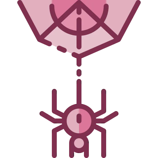Spider web icon