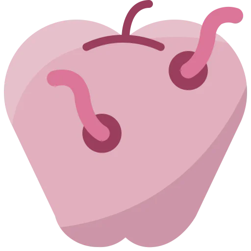 Apple icon