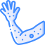 Rash icon 64x64