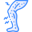 Rash icon 64x64