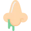 Runny nose 图标 64x64