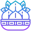 Peach icon 64x64