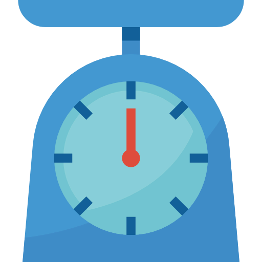 Scale icon
