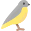 Bird icon 64x64