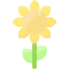 Sunflower icon 64x64