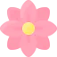 Flower icon 64x64