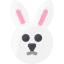 Bunny icon 64x64