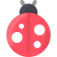 Ladybug icon 64x64