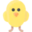 Chicken icon 64x64
