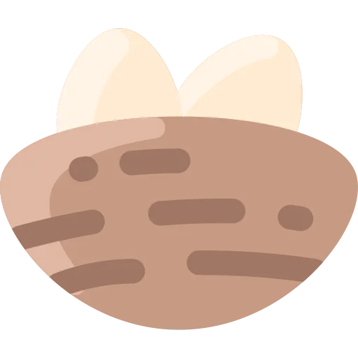 Nest icon
