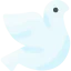 Dove icon 64x64
