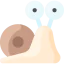 Snail icon 64x64